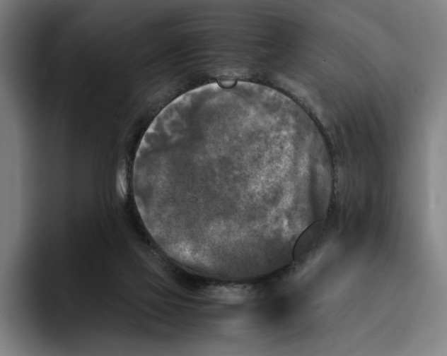 X0000094910069200712271521