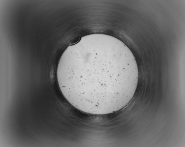 X0000094910074200712271521