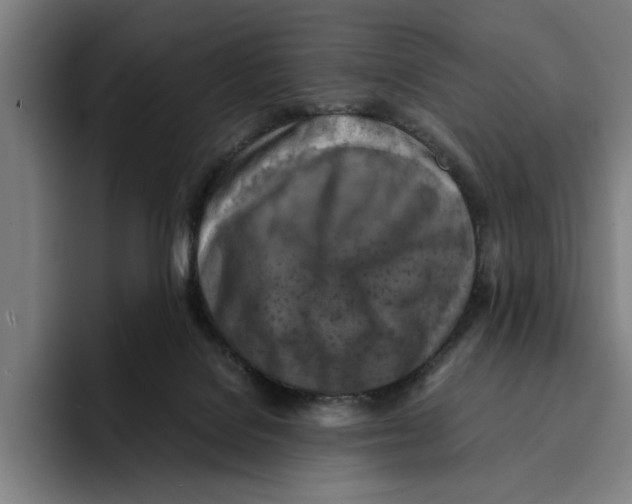 X0000094910076200712271521