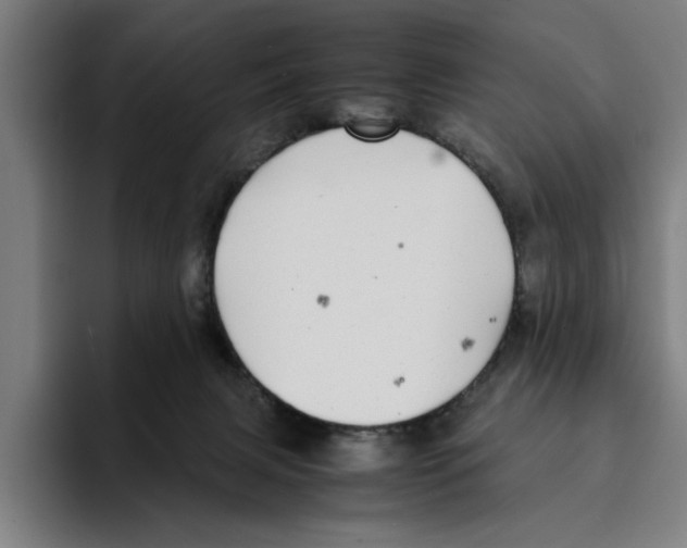 X0000094910079200712271521