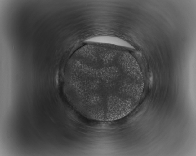 X0000094910080200712271521