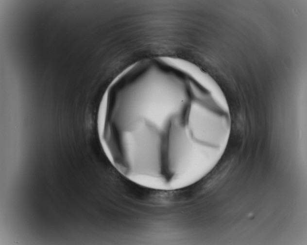 X0000094910084200712271521