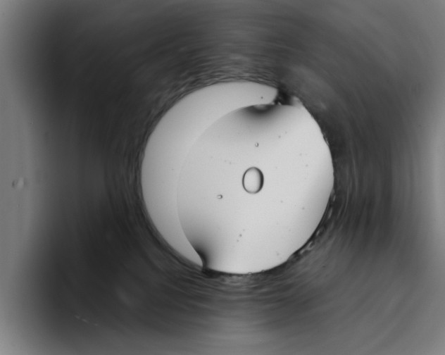 X0000094910088200712271521