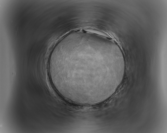 X0000094910097200712271521