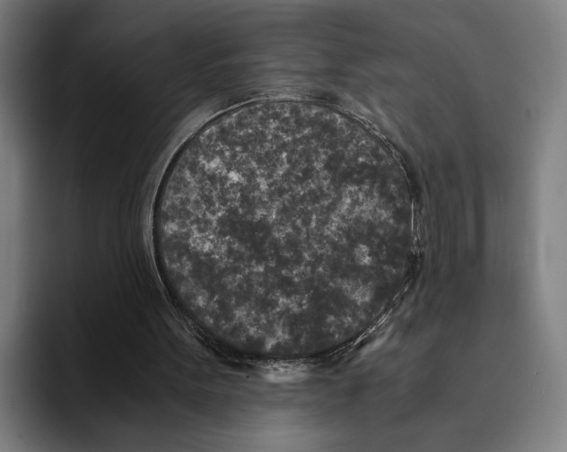 X0000094910099200712271521