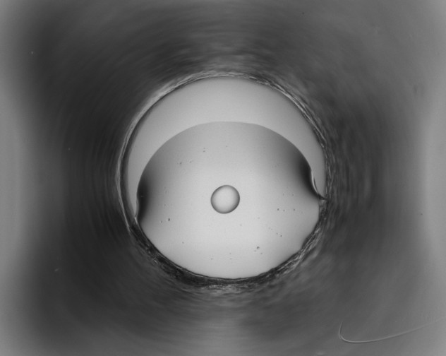 X0000094910100200712271520