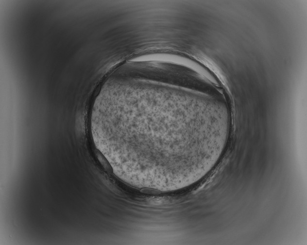 X0000094910105200712271520