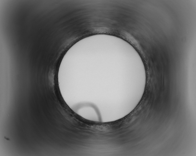 X0000094910106200712271520