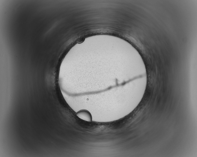 X0000094910111200712271520