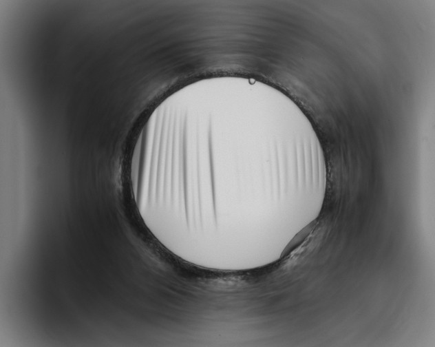 X0000094910112200712271520