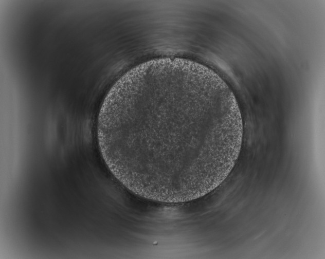 X0000094910114200712271520