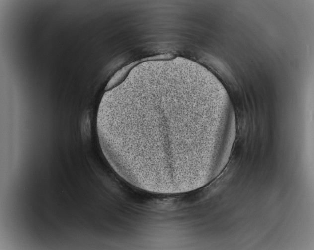 X0000094910120200712271520