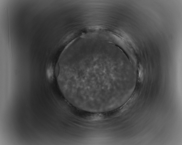 X0000094910124200712271520