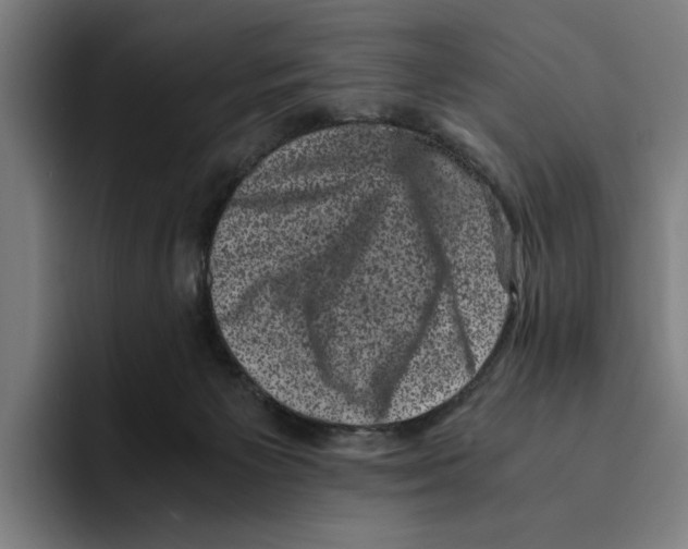 X0000094910125200712271520