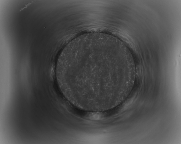 X0000094910127200712271520