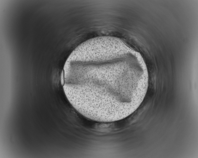 X0000094910129200712271520