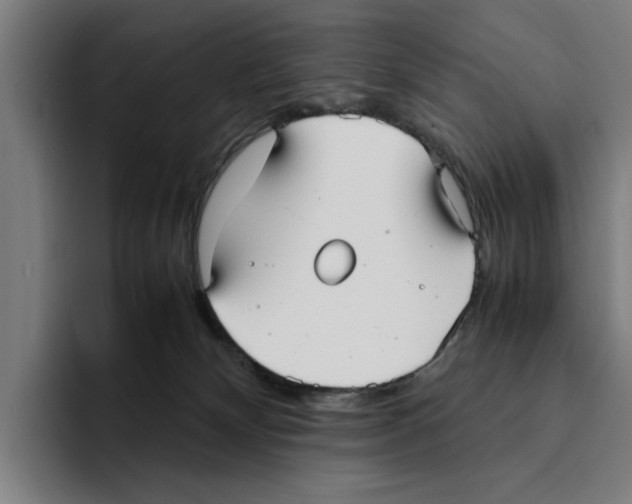 X0000094910132200712271520