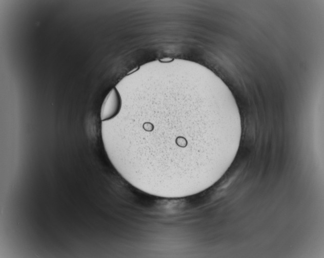 X0000094910135200712271520