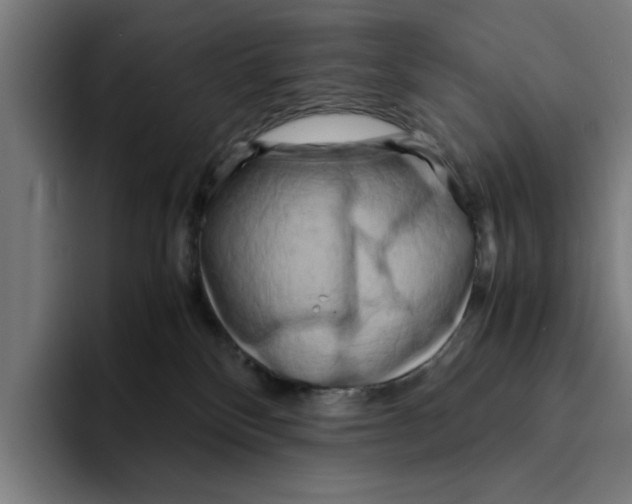 X0000094910136200712271520