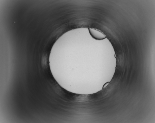 X0000094910138200712271520