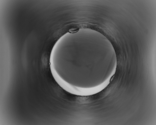 X0000094910139200712271520