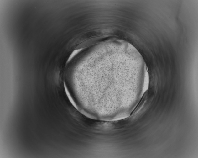 X0000094910140200712271520