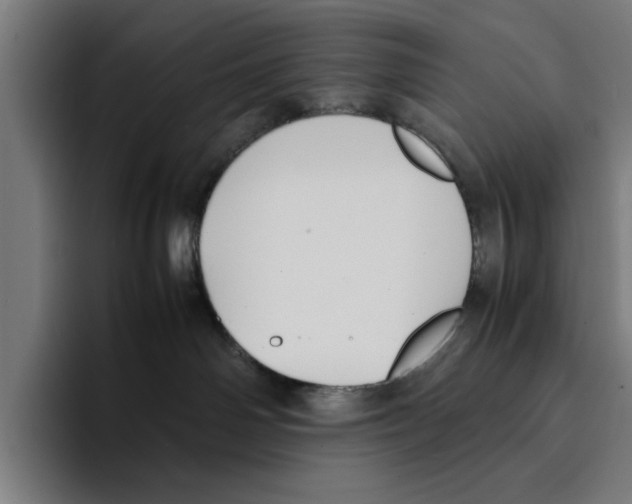 X0000094910142200712271520