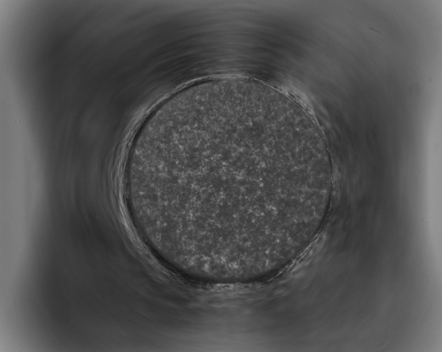 X0000094910145200712271519