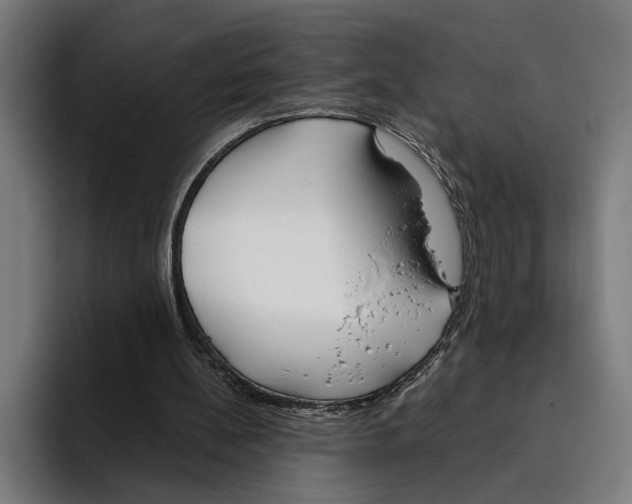 X0000094910148200712271519