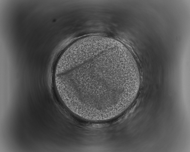 X0000094910149200712271519