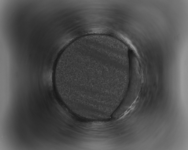 X0000094910154200712271519