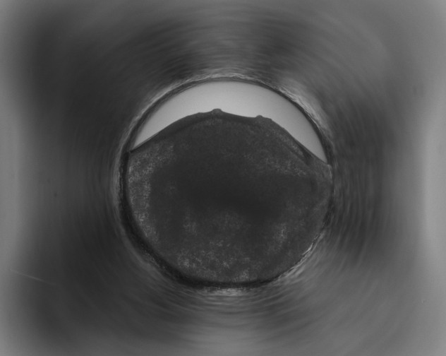 X0000094910156200712271519