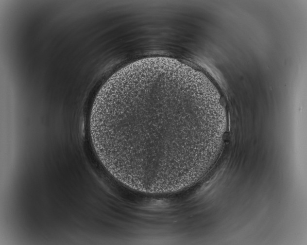 X0000094910157200712271519