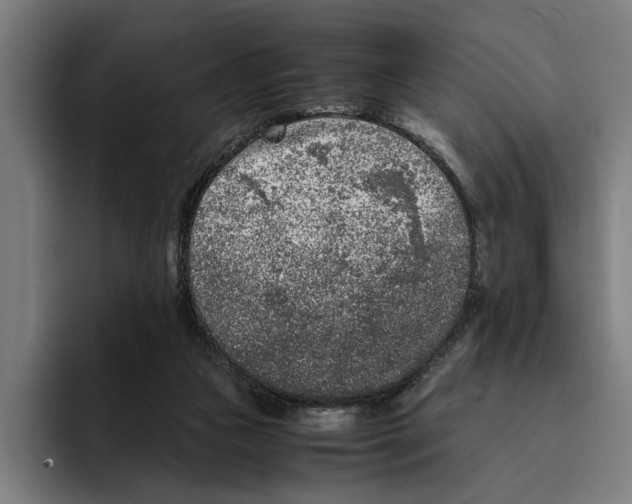 X0000094910161200712271519