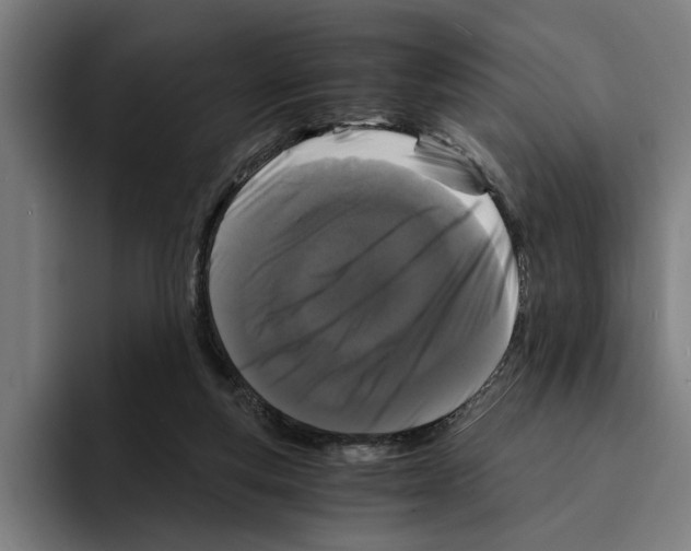 X0000094910163200712271520