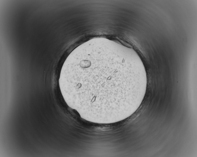 X0000094910164200712271520