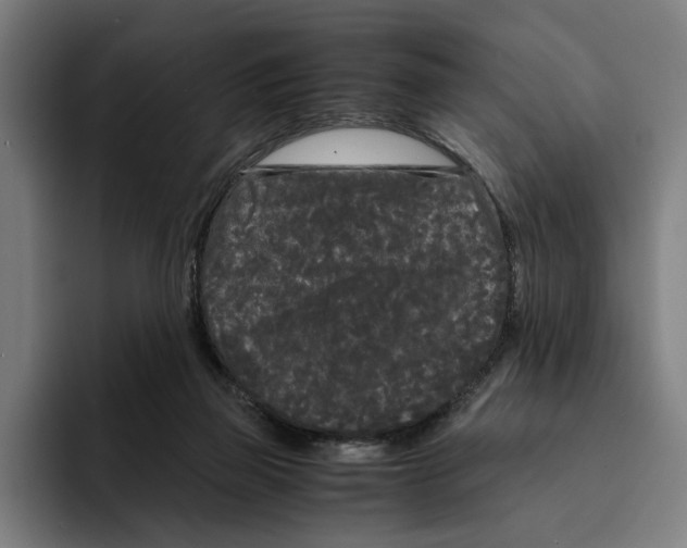 X0000094910165200712271520