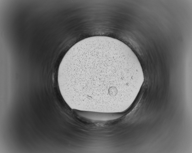 X0000094910166200712271520