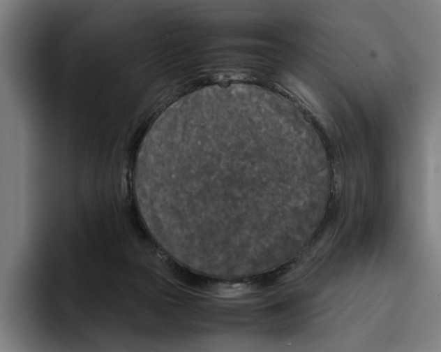 X0000094910169200712271520