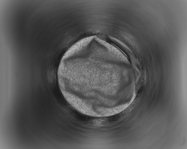 X0000094910172200712271520