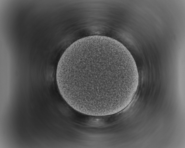 X0000094910174200712271520