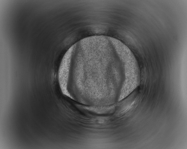 X0000094910176200712271520