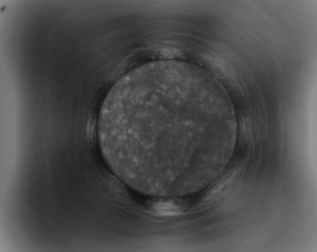 X0000094910177200712271520