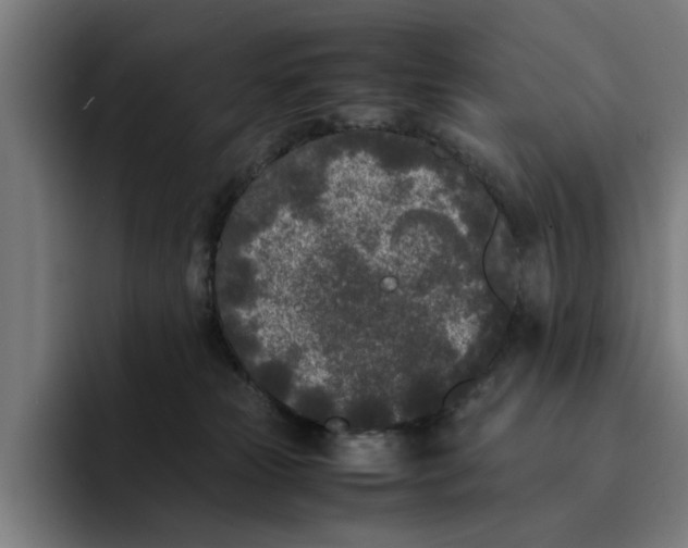 X0000094910181200712271520