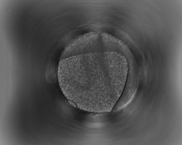 X0000094910186200712271520