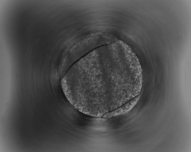 X0000094910192200712271520