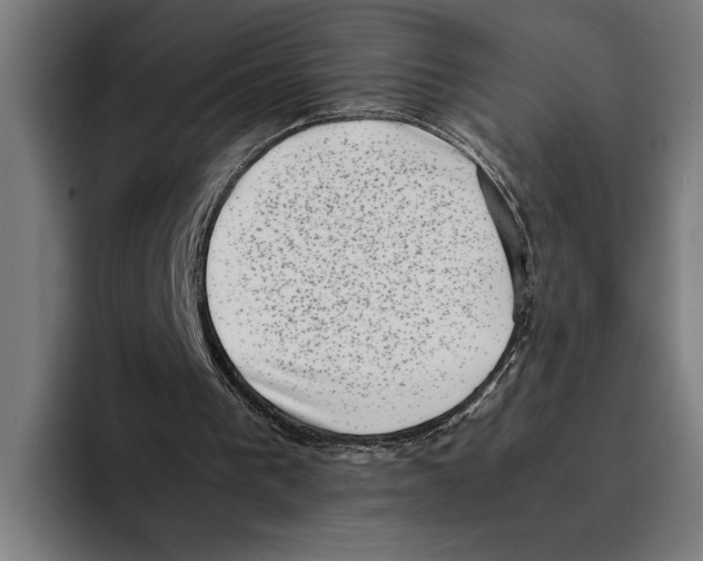 X0000094910193200712271519