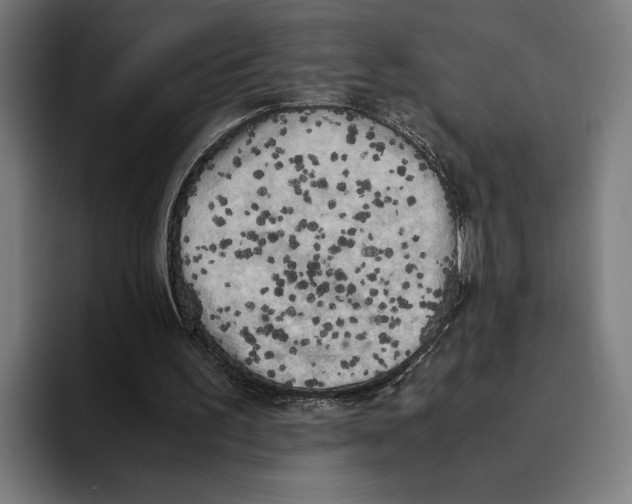 X0000094910195200712271519