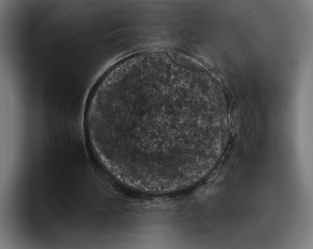 X0000094910196200712271519