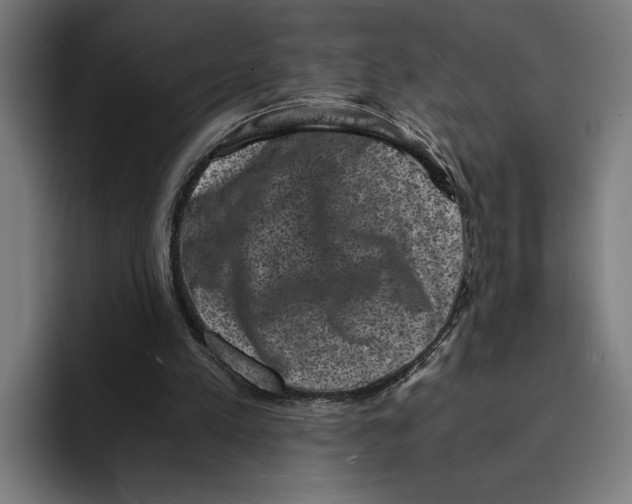 X0000094910197200712271519